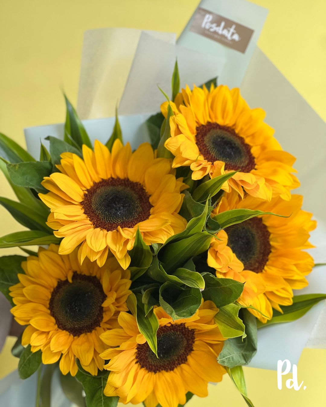 SUNFLOWER - Imagen 2