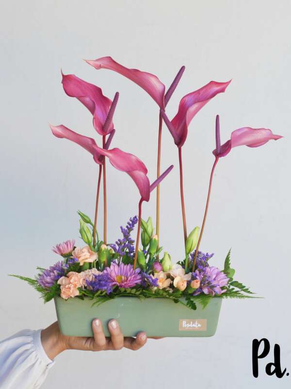 TRENCITO FLORAL